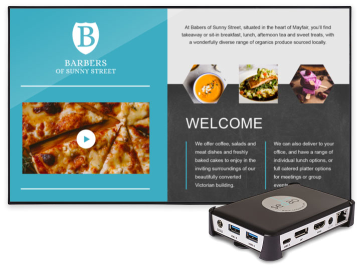 Large Format Displays